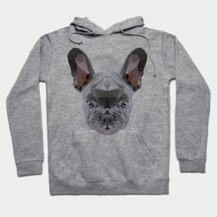 French Bull dog Hoodie